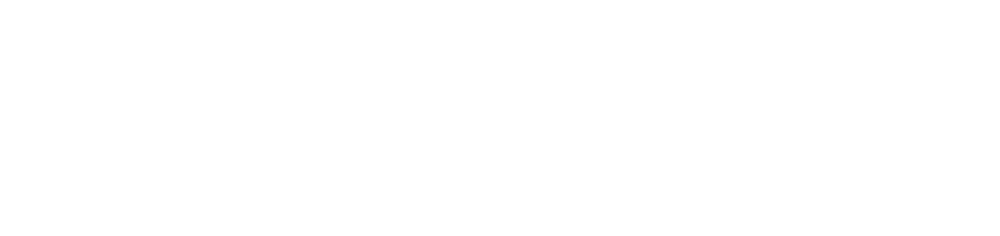 Ricardo Câmara Treinamentos